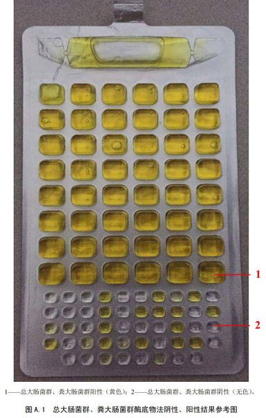 總大腸菌群、糞大腸菌群酶底物法陰性、陽性結(jié)果參考圖